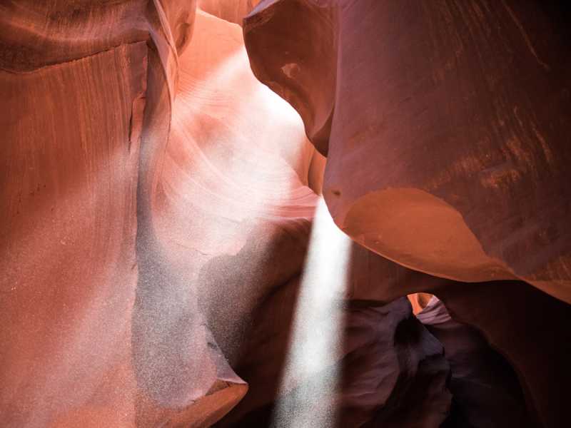 Step 6: Preserve Your&nbsp;Estate